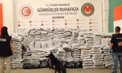 Kapıkule'de 810 kilogram esrar ele geçirildi