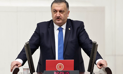 Karal: Bunun sonucu Türkiye'nin giderek dışa bağımlı hale gelmesidir