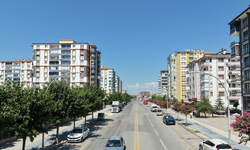 Malatya'da yeşil alan ve peyzaj çalışmaları sürüyor