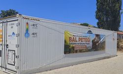Manisa'da bal petekleri büyük balmumu güvesine karşı şoklanacak