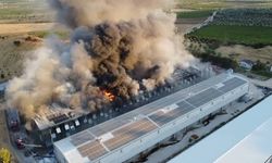 Manisa'da korkutan yangın! Alevler yumurta üretim tesisini küle çevirdi