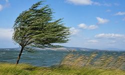 Meteoroloji'den kuvvetli rüzgar uyarısı