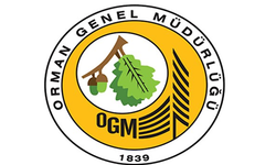 OGM: Muğla'da yangın kontrol altına alındı