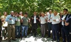 Orhangazi'de Bayırköy'de fındık hasadı başladı