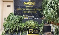 Sapanca'da uyuşturucu operasyonu: 2 gözaltı