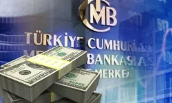 TCMB'nin döviz alımları 39,3 milyar doları aştı