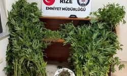 Uyuşturucu operasyonlarında 5 tutuklama