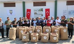 Vali Erol, TMO'nun fındık alım merkezini ziyaret etti