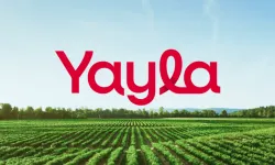 Yayla Agro'dan pay geri alımı