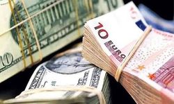 Yurt içi yerleşiklerin döviz mevduatı 228,2 milyar dolara yükseldi