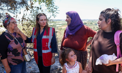Antalya'da yangın bölgelerinde hasar tespit çalışması başladı