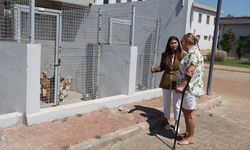 Antalya'daki hayvan bakımevine hayvanseverlerden tam not