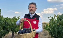 Bakan Yumaklı: "3 milyon 850 bin tonluk bir üzüm üretimi ülkemizde gerçekleşmiş olacak"