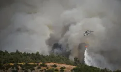 Balıkesir Sındırgı'daki orman yangını kontrol altına alındı