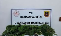 Batman'da kaçakçılık operasyonlarında çok sayıda malzeme ele geçirildi