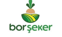 Bor Şeker, Ada Şeker'in yüzde 99,584 hissesini devraldı