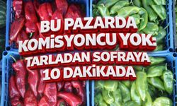 Bu Pazarda Komisyoncu Yok: Tarladan Sofraya 10 Dakikada