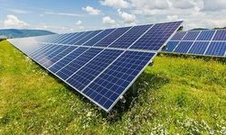 CW Enerji, ABD'de güneş paneli tesisi kurmayı planlıyor