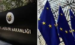 Dışişleri Bakanlığı'ndan AP'deki iddialara tepki