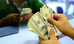 Döviz piyasalarında dolar karışık seyrediyor