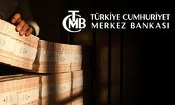 Enflasyon tahminlerinde OVP, TCMB'ye göre daha isabetli