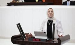 Esen'den çocuk tesliminde şiddet riskine karşı düzenleme çağrısı