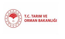 FAO toplantısında su ürünleri vurgusu