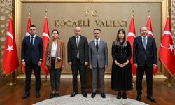 İş Sağlığı ve Güvenliği Genel Müdürü Taylan, Vali Aktaş'ı ziyaret etti