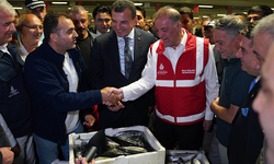 İstanbul'da balık sezonu başladı