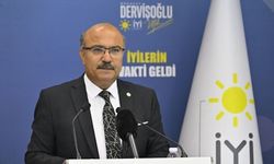İYİ Parti'li Ulusoy'dan kuru üzüm alım fiyatına tepki