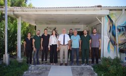 Konyaaltı'nda sokak hayvanları için kurumlar arası iş birliği vurgusu