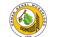 OGM: Antalya ve Adana'daki yangınlara müdahale sürüyor