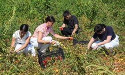 Osmangazi'de gençler gıdanın yolculuğunu deneyimledi