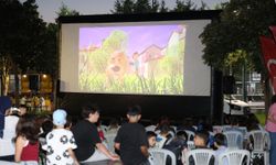 Osmangazi'de yaz film gösterimleri Soğukkuyu'da devam etti