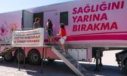 'Pembe Prenses' Aliağa'da hizmet verecek