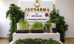 Rize'de ağustos ayında 77 aranan şahıs yakalandı