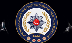 Şanlıurfa'da 4 milyon TL değerinde kaçak tütün operasyonu: 2 tutuklama