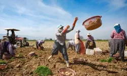 TÜİK: Tarımsal girdi fiyat endeksi yıllık yüzde 27,62 arttı