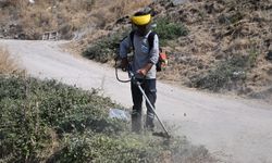 Vatandaşların talebi üzerine Ulutepe Caddesi temizlendi