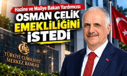 Hazine ve Maliye Bakan Yardımcısı Osman Çelik Emekliliğini İstedi