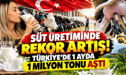 SÜT ÜRETİMİNDE REKOR ARTIŞ! TÜRKİYE'DE 1 AYDA 1 MİLYON TONU AŞTI