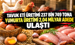Tavuk eti üretimi 237 bin 749 tona, yumurta üretimi 2,04 milyar adede ulaştı