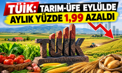 TÜİK: Tarım-ÜFE eylülde aylık yüzde 1,99 azaldı