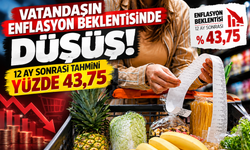 Vatandaşın Enflasyon Beklentisinde Düşüş: 12 Ay Sonrası Tahmini Yüzde 43,75