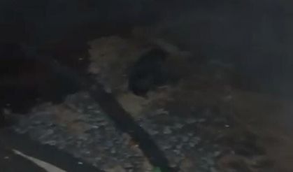 Ahırda çıkan yangın söndürüldü