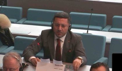 Nevşehir Belediye Başkanı Rasim Arı, Avrupa Konseyi Yerel ve Bölgesel Yönetimler İzleme Komitesi’nde konuştu