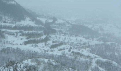 Posof’ta eğitime kar engeli