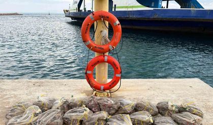 Sahil Güvenlik Bozcaada açıklarında 19 çuval deniz patlıcanı ele geçirdi