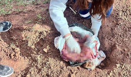 Şırnak’ta bebek cinayetine 2 tutuklama