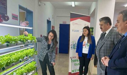 Anaokulunda topraksız tarım, ilk hasat yapıldı